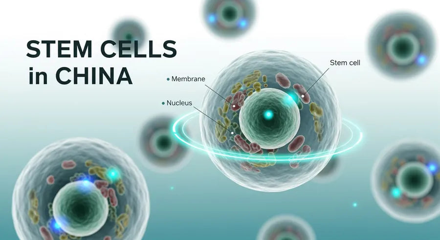Stem Cell Therapy